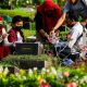 Arti Mimpi Ziarah ke Makam: Apa yang Perlu Kamu Ketahui?