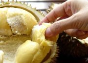 Rahasia di Balik Mimpi Makan Durian: Tafsir dan Makna yang Menarik