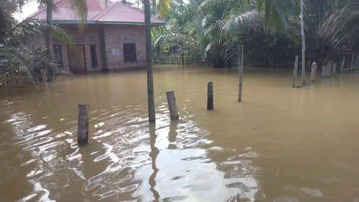 Arti Mimpi Banjir Air Keruh: Simbol Kesulitan dan Peringatan Penting dalam Hidup