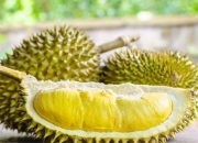 Arti Mimpi Durian: Simbol dan Makna di Balik Buah Berduri