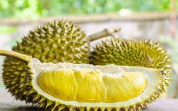 Arti Mimpi Durian: Simbol dan Makna di Balik Buah Berduri