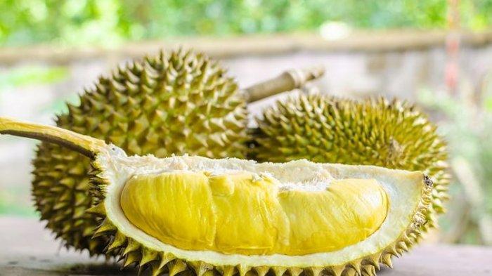 Arti Mimpi Durian: Simbol dan Makna di Balik Buah Berduri